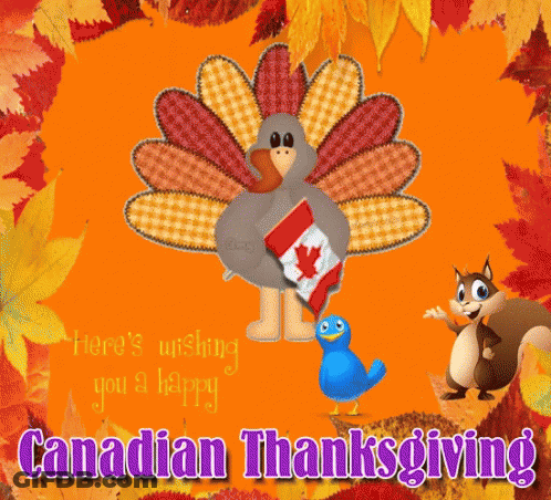 Turkey With Canadian Flag On Tail GIF