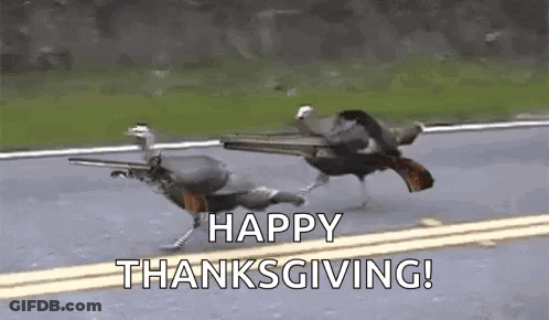Turkeys Running Down Road With Guns GIF