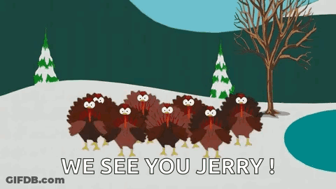 Turkeys Standing In Snow Saying We See You Jerry GIF
