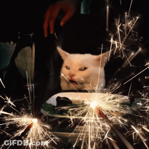 Turkish Angora Cat Firecracker GIF