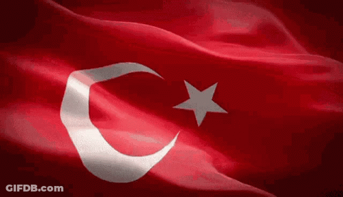 Turkish Flag With Crescent Moon And Star Waving GIF