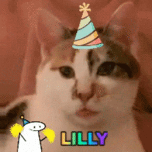 Turkish Van Party Cat GIF