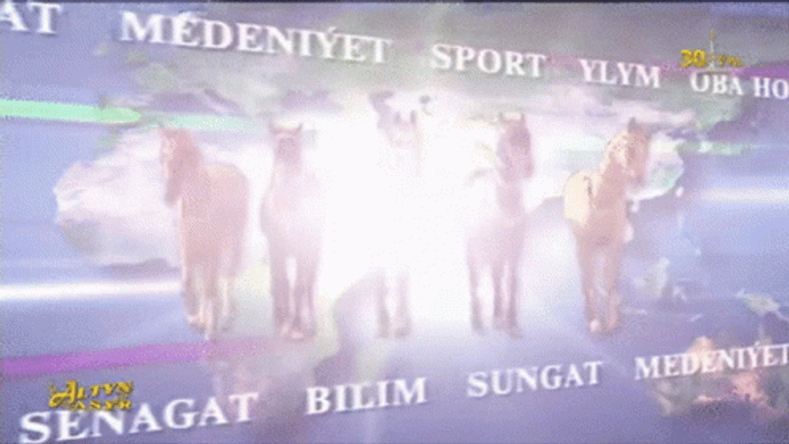Turkmenistan Amazing Culture Animation GIF
