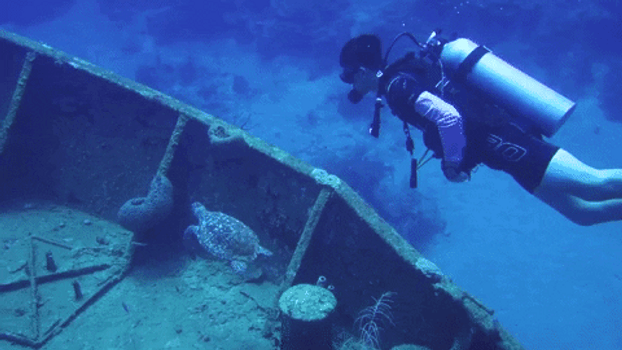 Turks And Caicos Blue Water GIF