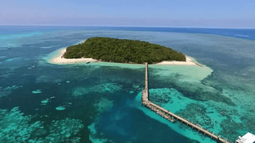 Turks And Caicos Paradise Found GIF