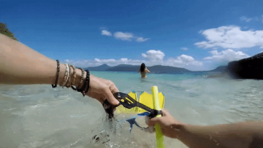 Turks And Caicos Snorkeling GIF