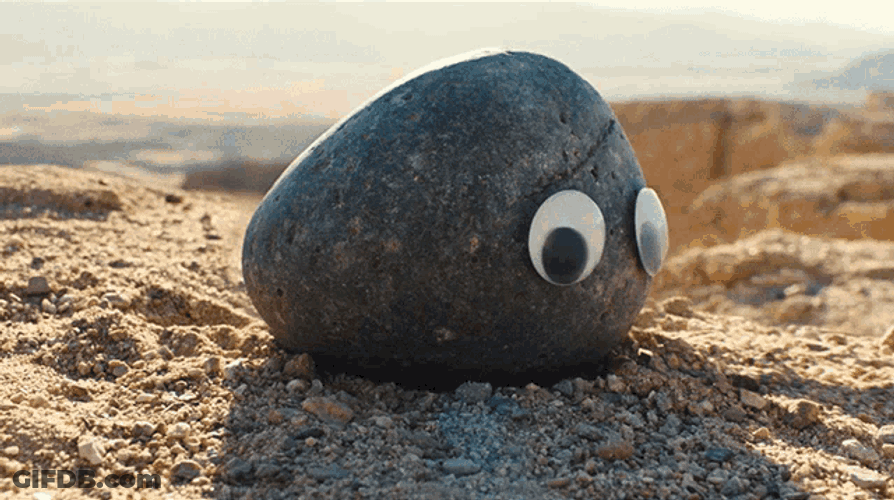 Turn Around Everything Everywhere All At Once GIF