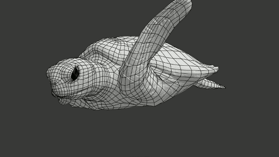 Turtle 3D Model Spinning Loop GIF