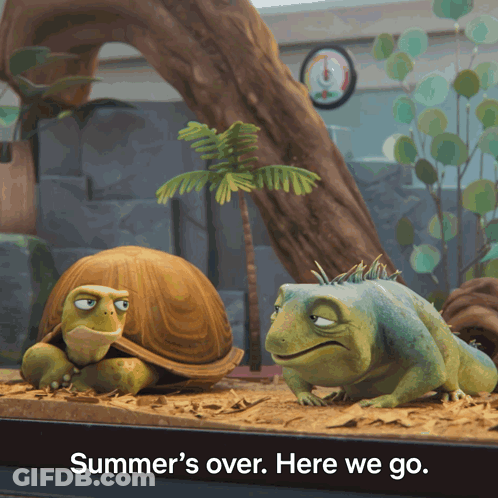 Turtle And Lizard In Tank Summer's Over Here We Go GIF