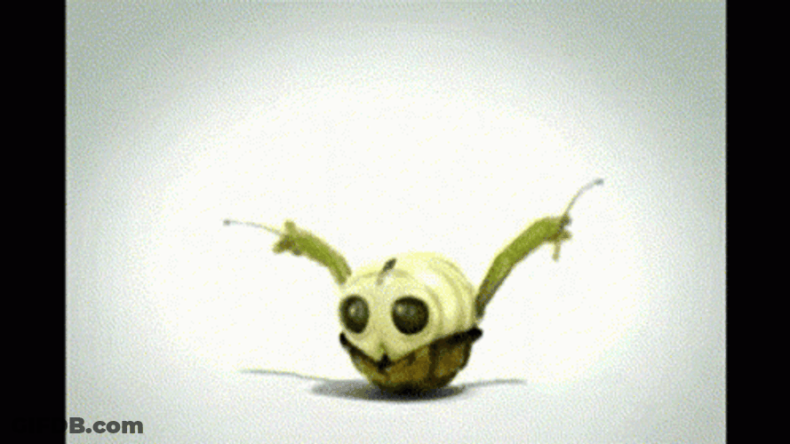 Turtle Dancing While Holding Drumsticks GIF