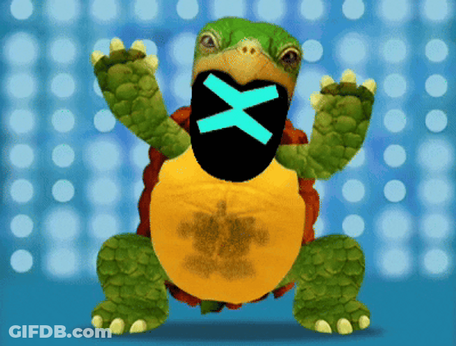 Turtle Dancing While Raising Its Feet GIF