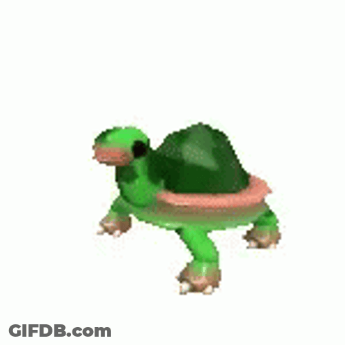 Turtle Dancing With Its Head GIF