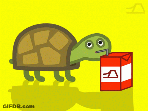 Turtle Drinking Juice Carton GIF