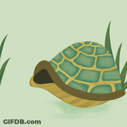 Turtle Drop Sign K Bye GIF