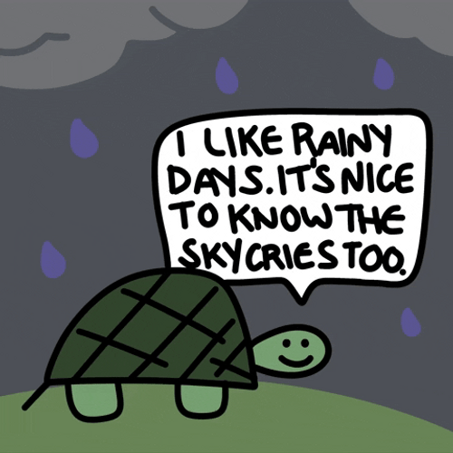 Turtle Likes Rainy Tuesday GIF
