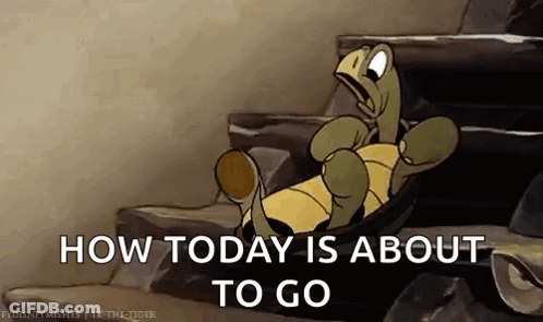 Turtle Lying On Rock How Today Will Go GIF