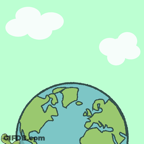 Turtle On Red Blanket National Geographic Logo GIF