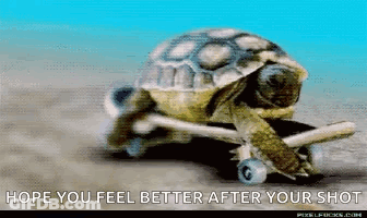 Turtle Riding Skateboard Hope You Feel Better GIF