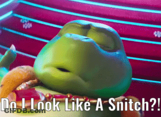 Turtle Saying Do I Look Like A Snitch GIF