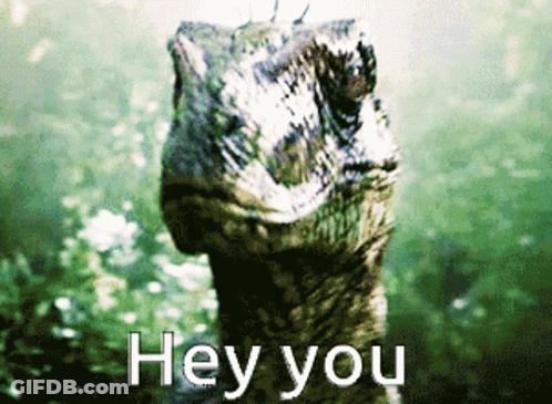 Turtle Saying Hey You GIF