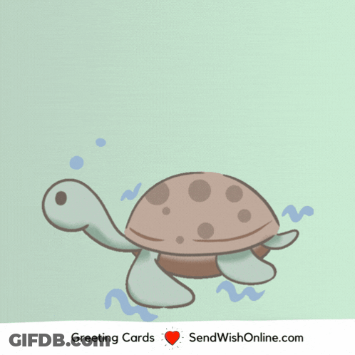 Turtle Saying Sorry For Late GIF