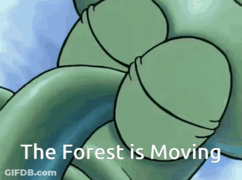 Turtle Saying The Forest Is Moving GIF