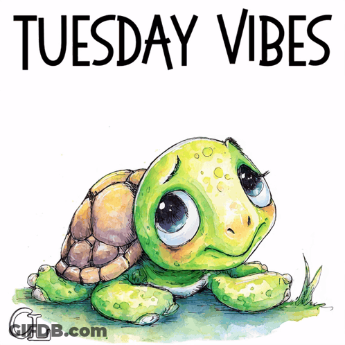 Turtle Saying Tuesday Vibes GIF