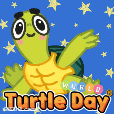 Turtle Saying Turtle Day GIF