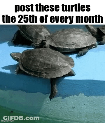 Turtle Statue Sitting On Table GIF