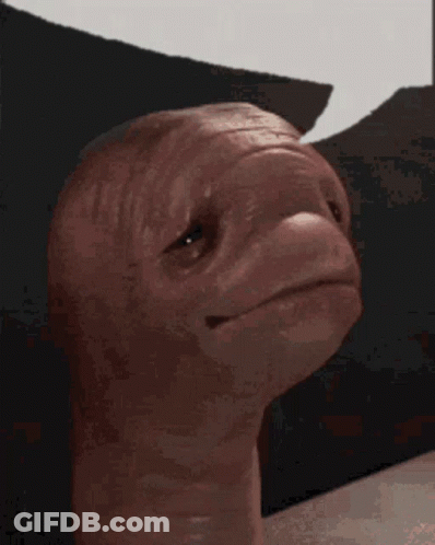 Turtle Statue With Black Pillow GIF