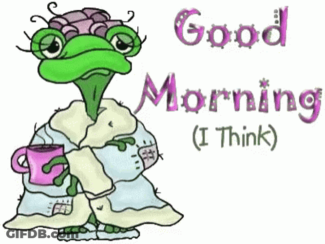 Turtle Tuesday Confused Blank Stare GIF