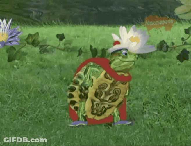 Turtle Tuesday Dancing Santa Hat GIF
