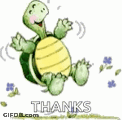 Turtle Tuesday Jumping For Joy GIF