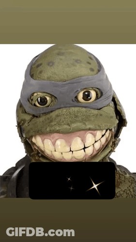 Turtle With Big Smile GIF