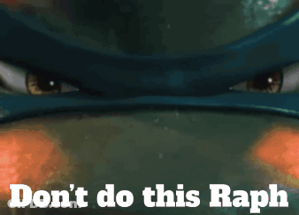 Turtle With Do Not Do This Raph GIF