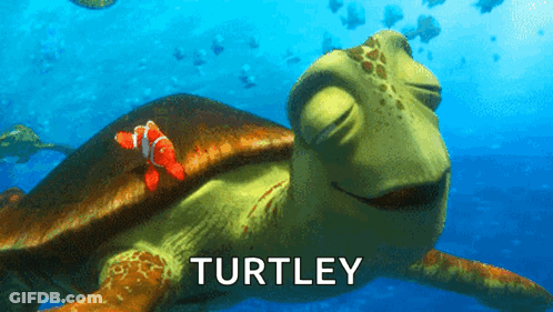 Turtle With Fish On Back Saying Turtley GIF