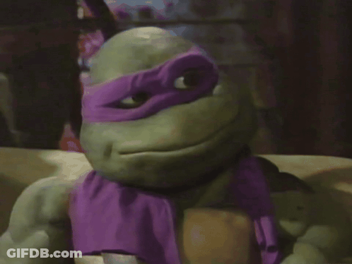 Turtle With Purple Mask GIF