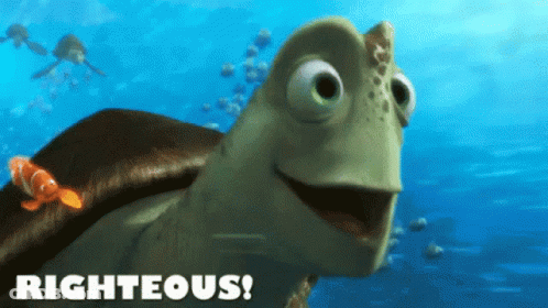 Turtle With Righteous GIF