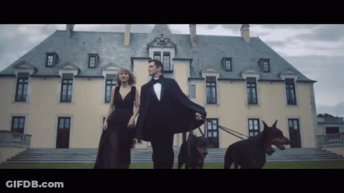 Tuxedo Man And Black Dress Woman Walking Two Dogs GIF