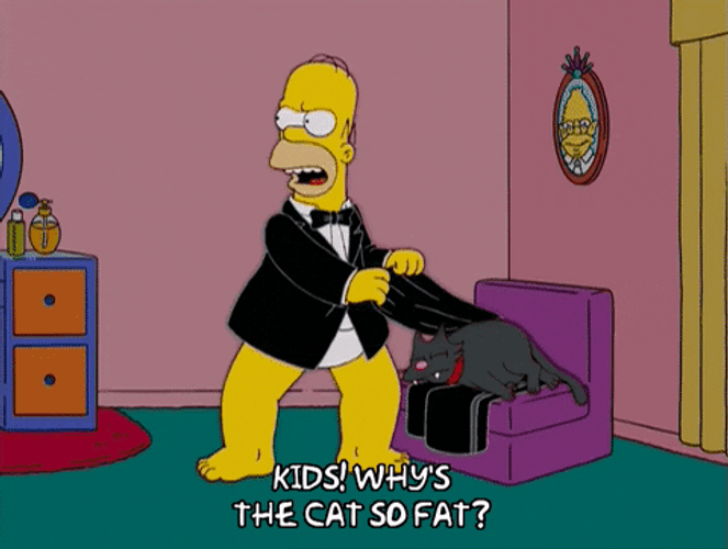 Tuxedo The Seven Beer Snitch Episode GIF