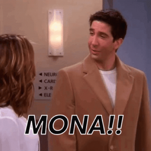 TV Character Ross Geller Mona GIF