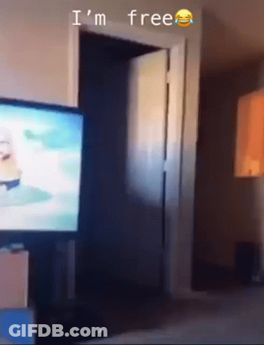 TV In Front Of Free Door GIF