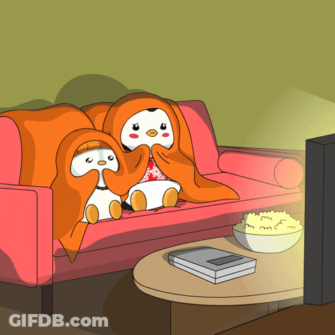Tv Netflix GIF