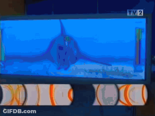 TV Screen Showing Shark Swimming In Ocean GIF