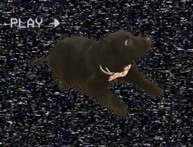 TV Static Puppy Dog GIF