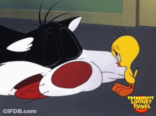 Tweety And Sylvester Looney Tunes Cartoon GIF