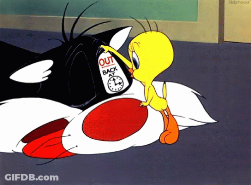 Tweety And Sylvester Sign Saying Out Back GIF