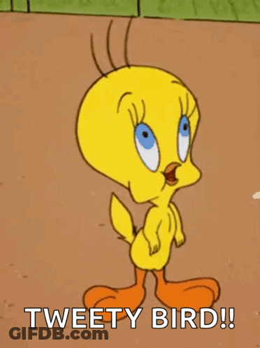 Tweety Bird From The Looney Tunes Cartoon Is Standing On The Ground With His Mouth Open . GIF