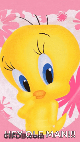 Tweety Bird Hey Ole Man GIF