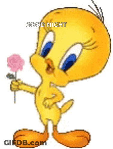 Tweety Bird Is Holding A Pink Rose In His Hand And Saying Good Night . GIF